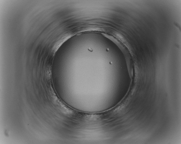 X0000099441377200805231707