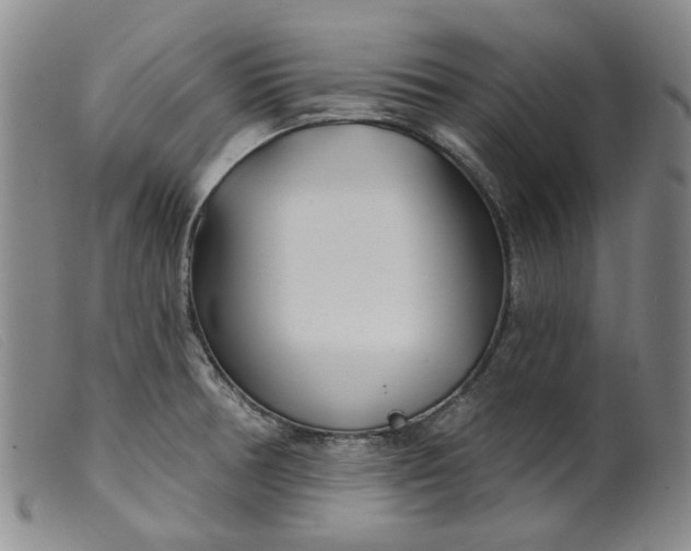 X0000099441378200805231707