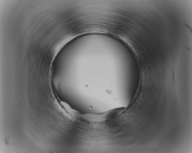 X0000099441379200805231707