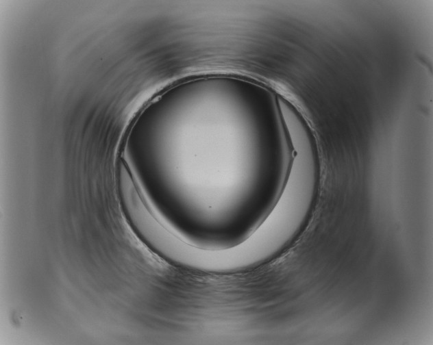 X0000099441380200805231707
