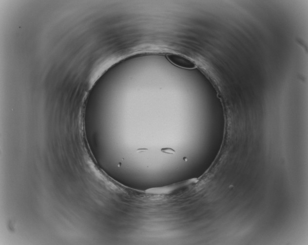 X0000099441382200805231707