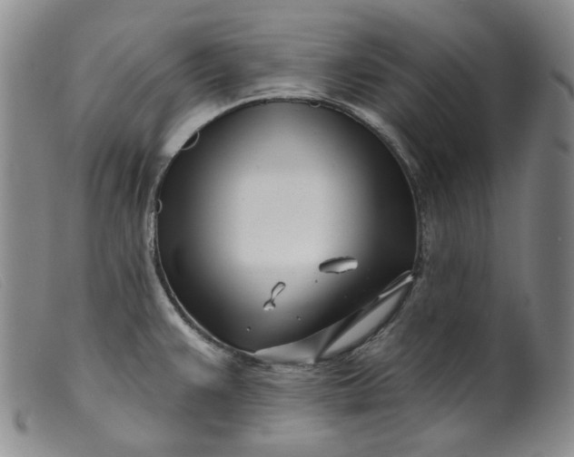 X0000099441383200805231707