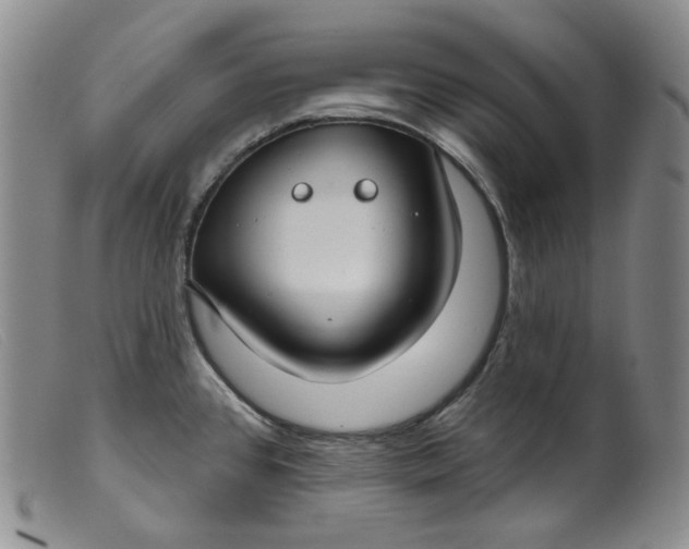 X0000099441384200805231707