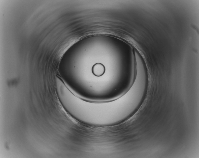 X0000099441385200805231707