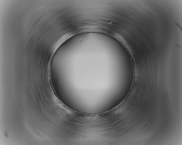 X0000099441386200805231707