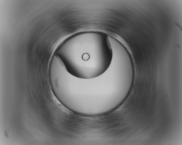 X0000099441388200805231707