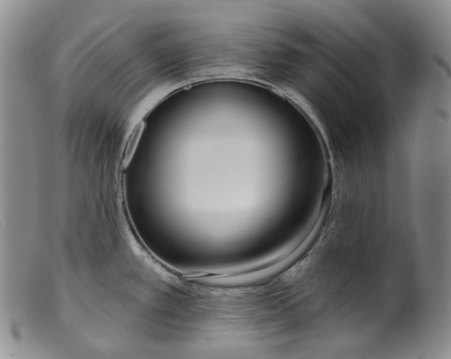 X0000099441389200805231707