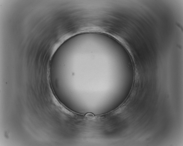 X0000099441390200805231707