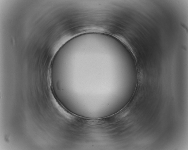 X0000099441391200805231707