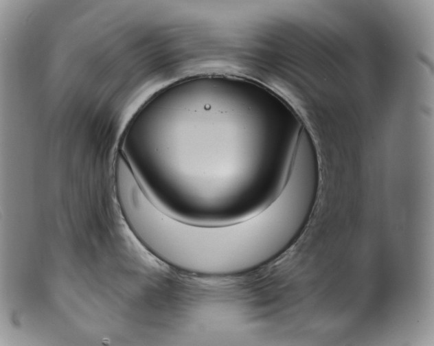 X0000099441392200805231707