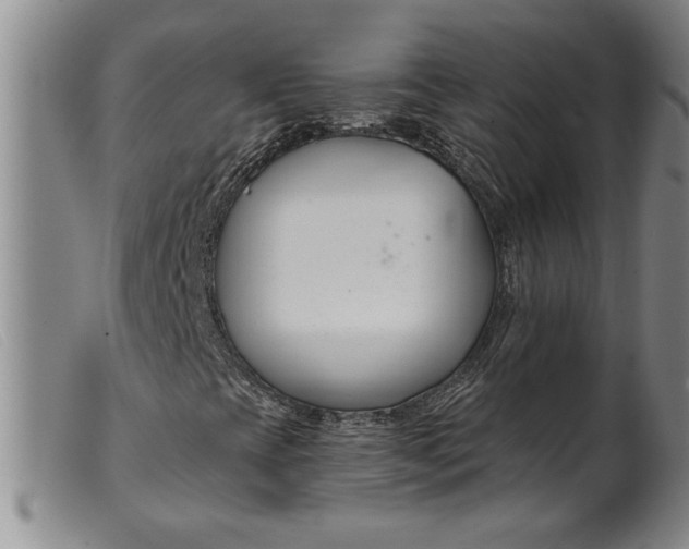 X0000099441393200805231706