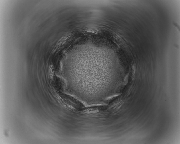 X0000099441394200805231706