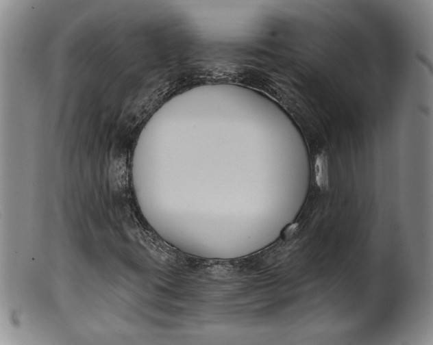 X0000099441395200805231706