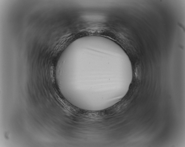 X0000099441396200805231706