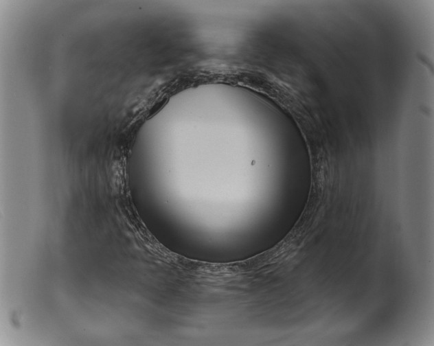 X0000099441397200805231706