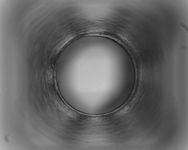 X0000099441401200805231706