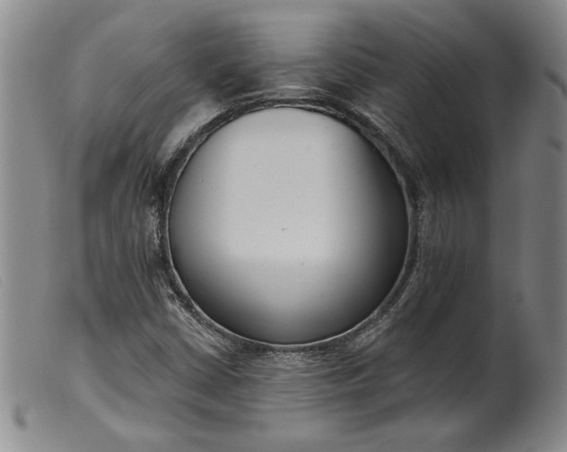 X0000099441402200805231706