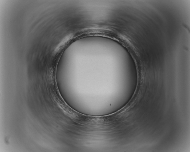 X0000099441403200805231706