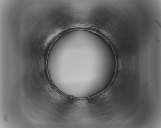X0000099441406200805231706