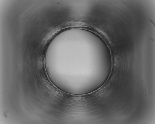 X0000099441407200805231706