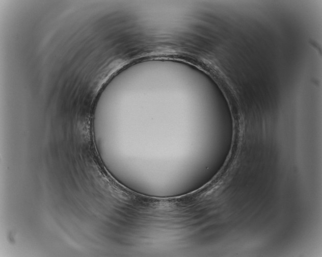 X0000099441409200805231706