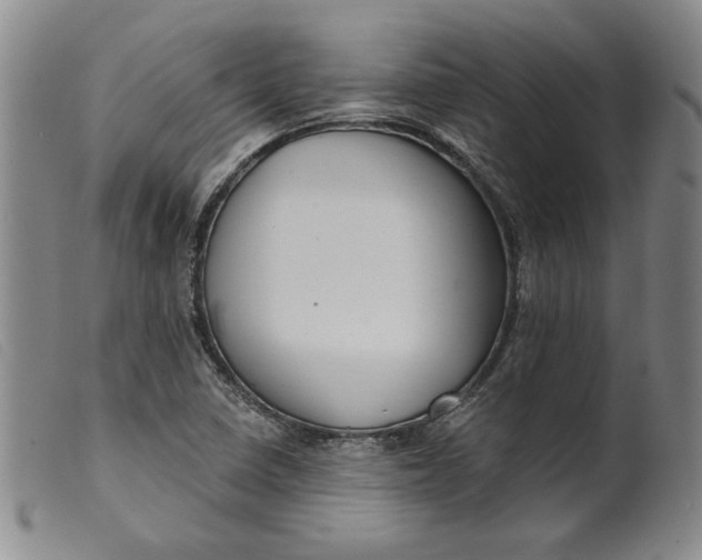 X0000099441410200805231706