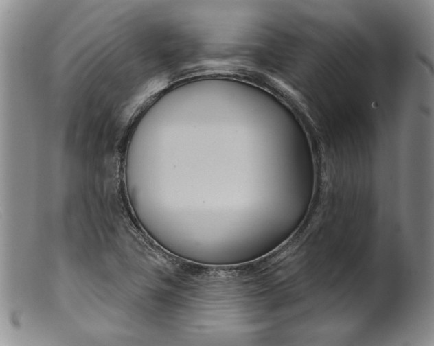 X0000099441411200805231706