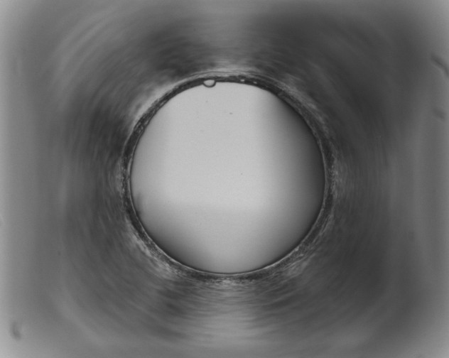 X0000099441412200805231706