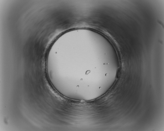X0000099441416200805231706