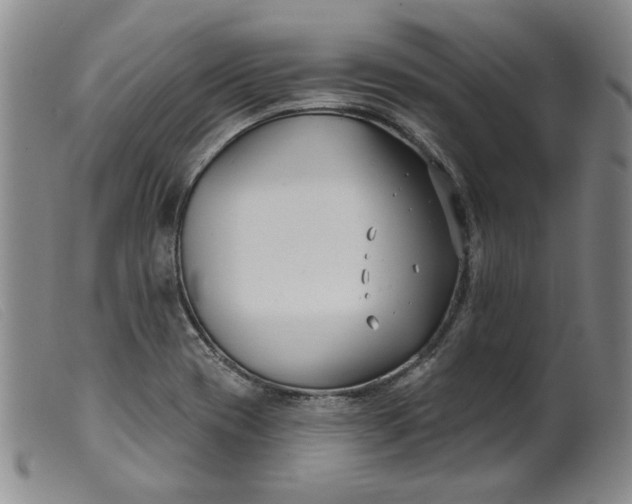 X0000099441417200805231706