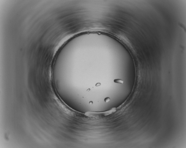 X0000099441420200805231706
