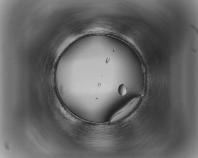 X0000099441421200805231706