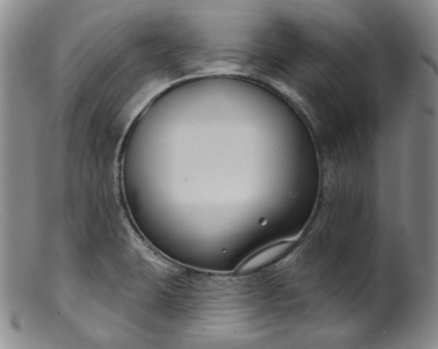 X0000099441423200805231706