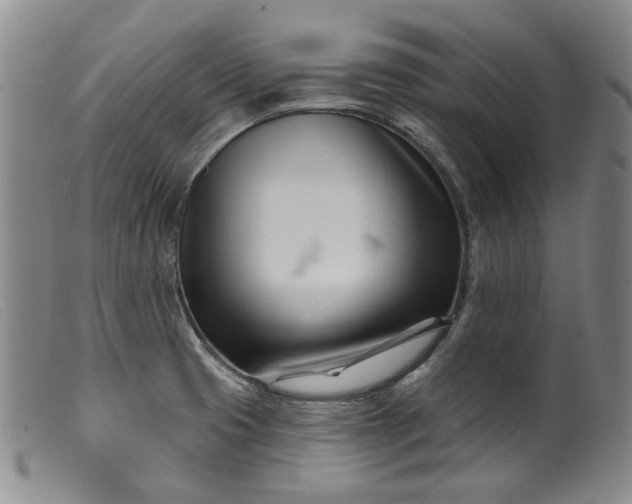X0000099441425200805231706