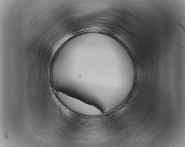 X0000099441426200805231706