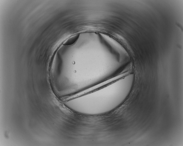 X0000099441427200805231706