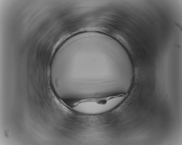 X0000099441428200805231706