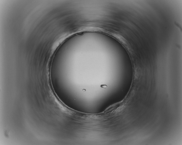X0000099441430200805231706