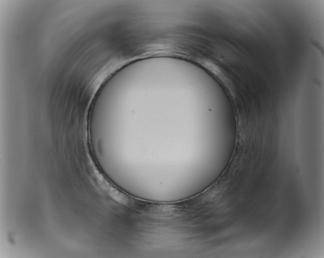 X0000099441431200805231706