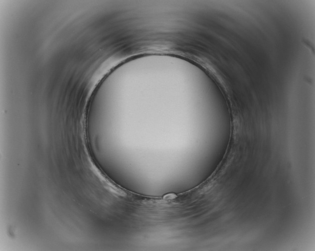 X0000099441432200805231706