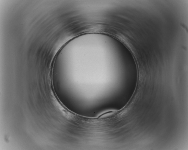 X0000099441434200805231706