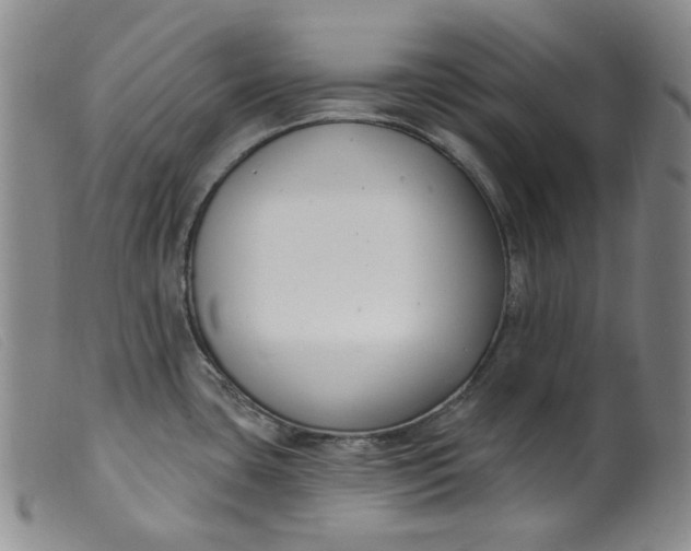 X0000099441435200805231706