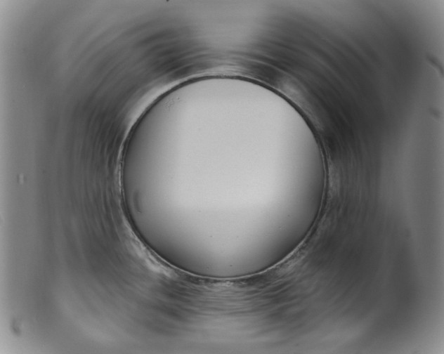 X0000099441436200805231706