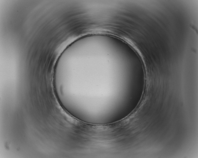 X0000099441437200805231706