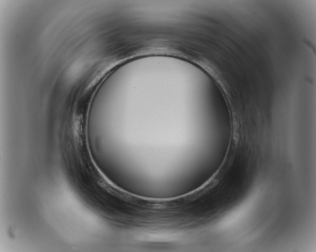 X0000099441438200805231706