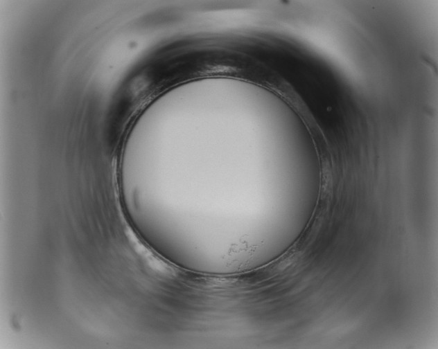 X0000099441439200805231706