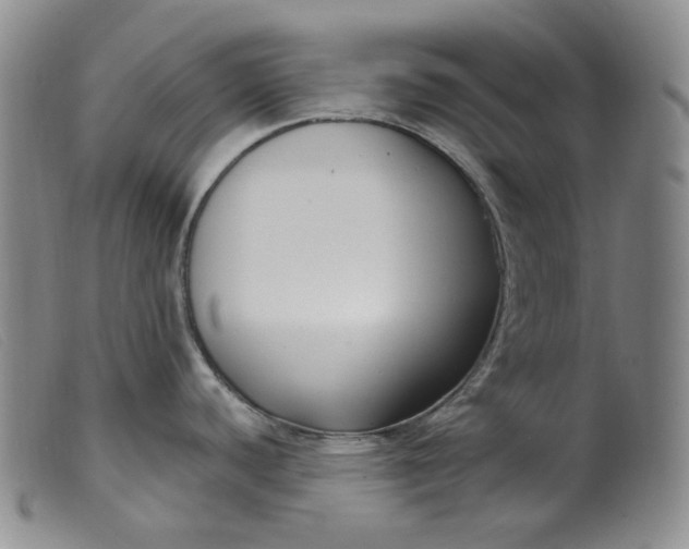 X0000099441440200805231707