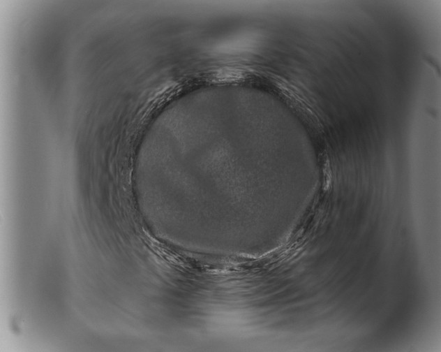 X0000099441441200805231706