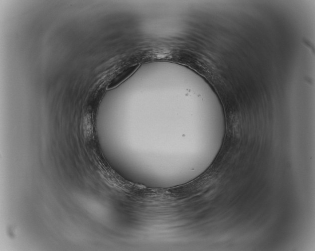X0000099441442200805231706