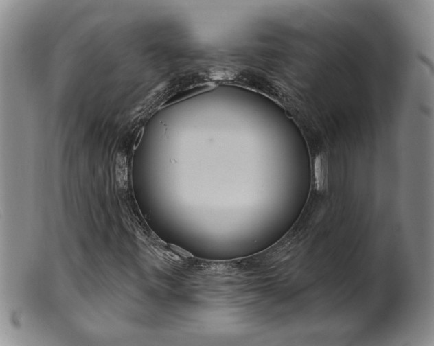 X0000099441443200805231706